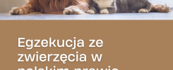 egzekucja ze zwierzęcia w prawie polskim kiedy komornik może zająć psa, kota lub konia?